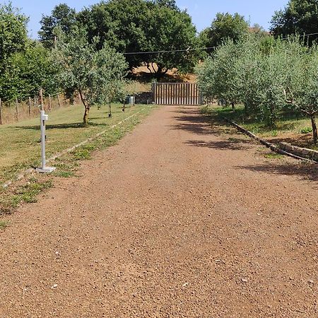 Il Melarancio B&B Monterosi Kültér fotó